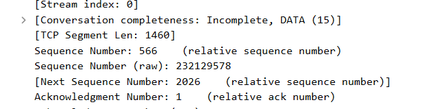image-20240610021450522
