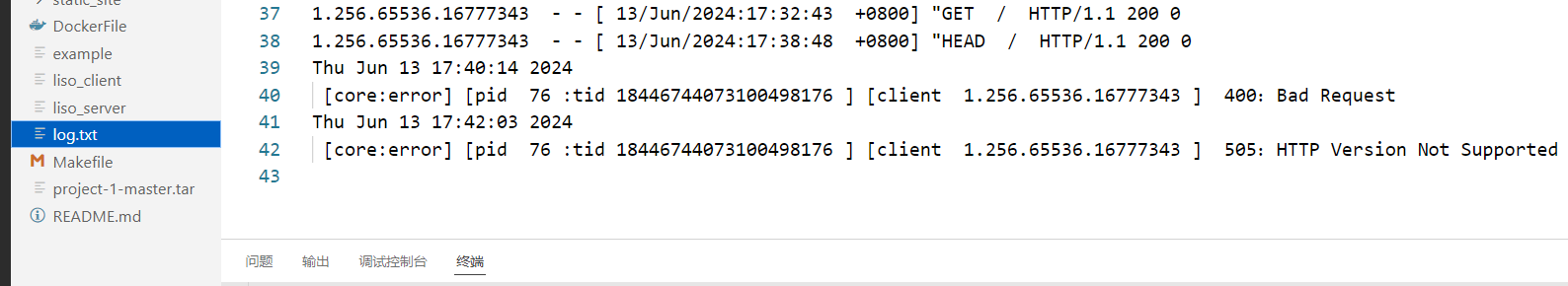 image-20240614014459513